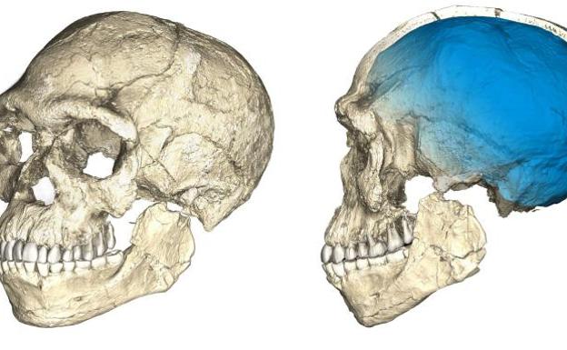 El homo sapiens envejece unos 100.000 años