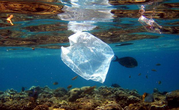 El plástico que flota en los océanos ha aumentado más de cien veces en 40 años