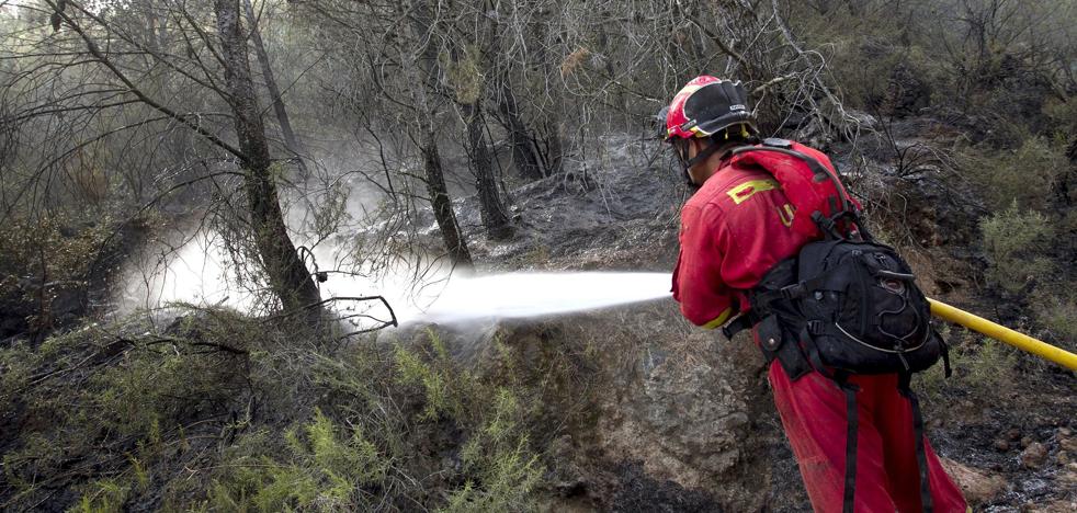 Un informe de Medio Ambiente revela la falta de personal en la Comunitat para controlar a los voluntarios