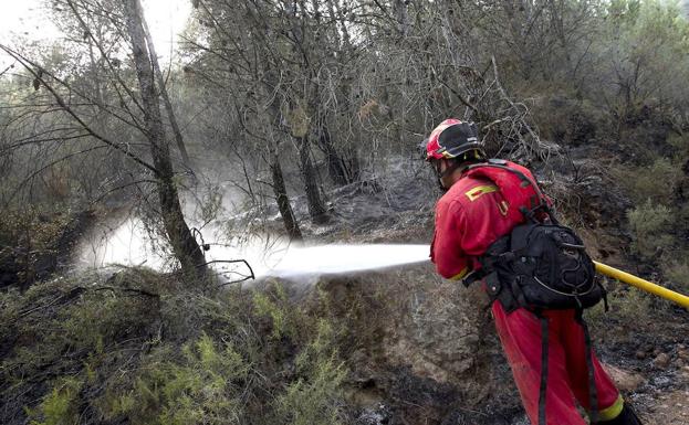 Un informe de Medio Ambiente revela la falta de personal en la Comunitat para controlar a los voluntarios