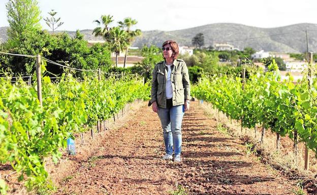 El vino dulce soñado: ‘M de Alejandría’