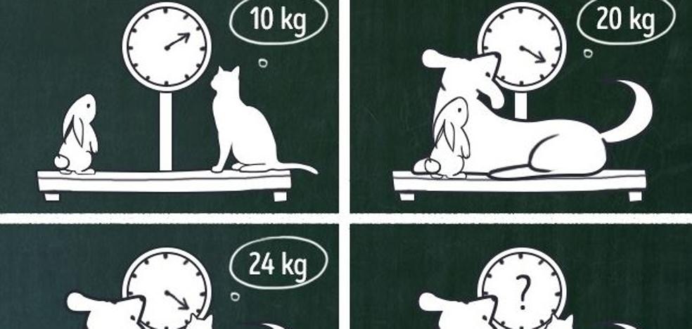 ¿Cuánto pesan juntos el gato, el conejo y el perro?