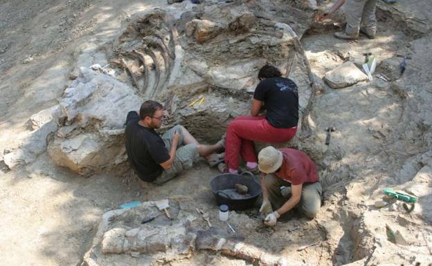 Morella encuentra restos de un dinosaurio de hace 125 millones de años