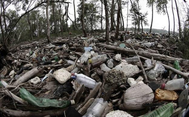 Producen plástico con azúcar y CO2, sin petróleo y biodegradable