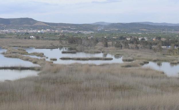 Cuatro años de cárcel por atropellar a un hombre al impedir que huyera de una granja de Castellón en la que había entrado a robar