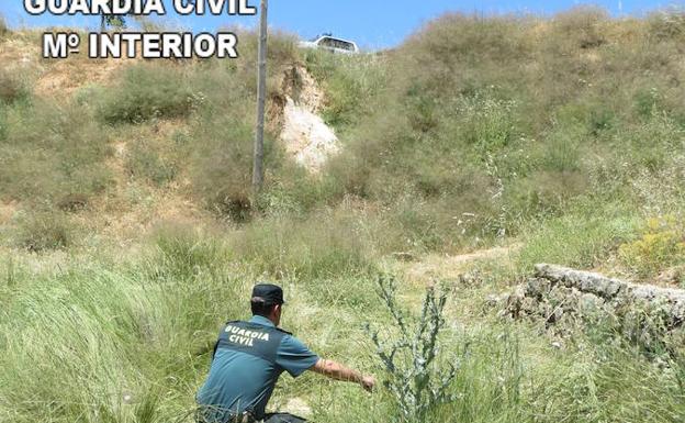 Rescatan a un hombre de 76 años tras caer por un terraplén y quedar oculto entre la maleza durante horas en Sinarcas