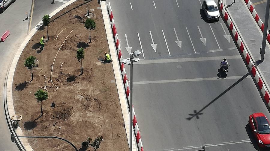 Fotos de la primera plantación de árboles del Parque Central de Valencia