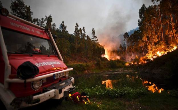 Suben a 62 los muertos en el incendio forestal en Portugal