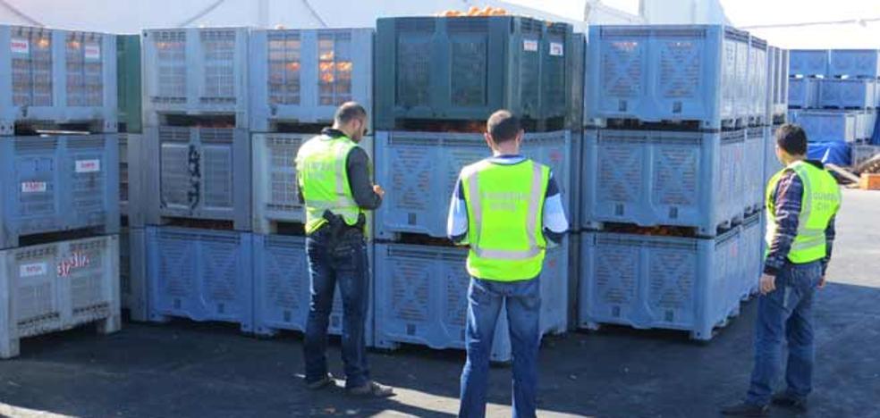 11 detenidos y 142 investigados por comercio ilegal de naranjas en Valencia