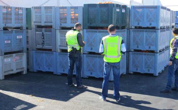 11 detenidos y 142 investigados por comercio ilegal de naranjas en Valencia