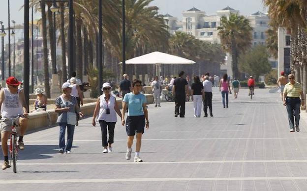 Cinco cosas que hacer en el paseo marítimo de Valencia