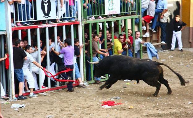 Tres heridos por asta de toro en los festejos del Grao de Castellón