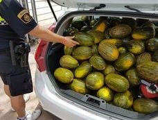 Cómo meter 169 melones en un coche