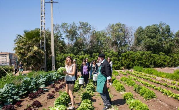 Meliana, un pueblo donde la tradición mediterránea permanece intacta