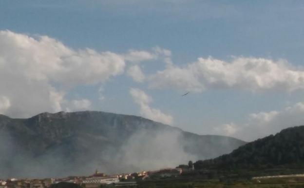 Estabilizado el incendio en una pinada cerca de viviendas en Aielo de Rugat