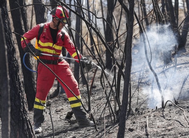 El incendio de la Calderona queda controlado tras arrasar 1.289 hectáreas