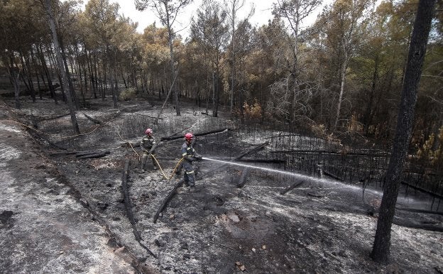 Quince de los 22 parques de la Comunitat Valenciana no tienen plan de prevención de incendios