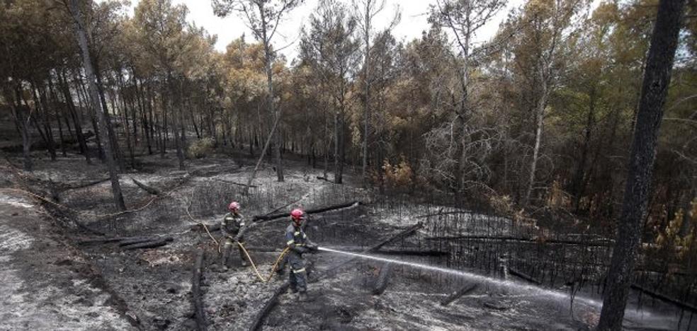 Quince de los 22 parques de la Comunitat Valenciana no tienen plan de prevención de incendios