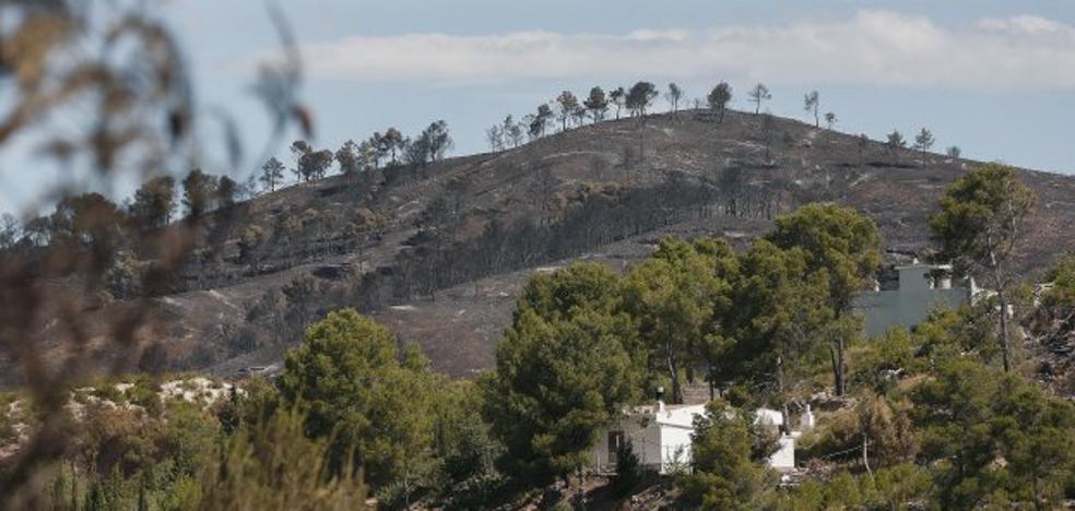 Agricultores y expertos piden a la conselleria que se permita la reutilización del monte