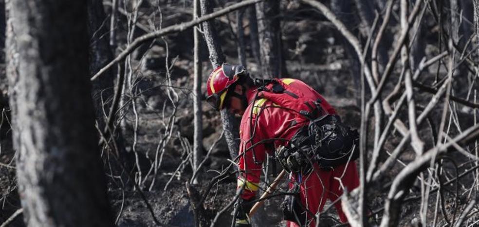 Los incendios intencionados arrasan 20.000 hectáreas en quince años en la Comunitat Valenciana