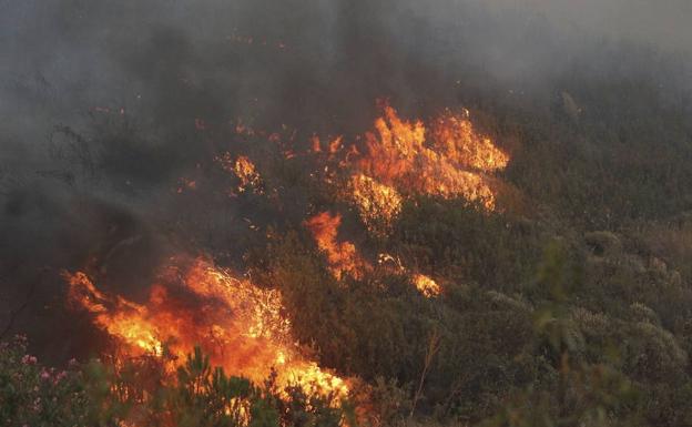 Sólo 22 incendios quemaron la mitad de la superficie calcinada en 2016