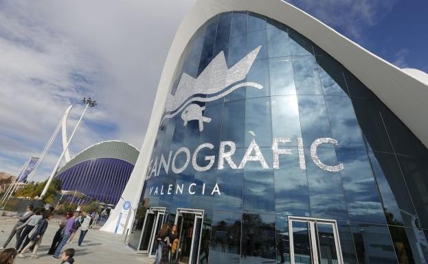 El acuario de Vancouver eleva al 30% su peso en la gestora del Oceanogràfic