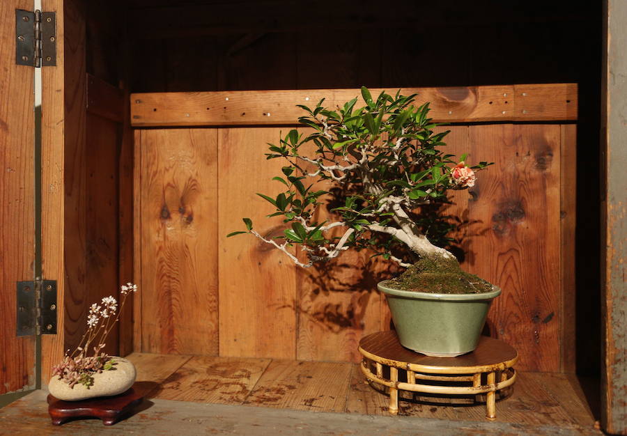 La casa de Mariano Moret y Emilio Jimena