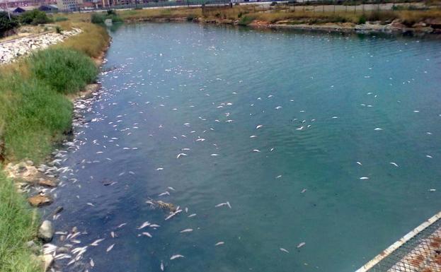 Nazaret recoge 2.300 firmas para exigir la limpieza del tramo final del Túria