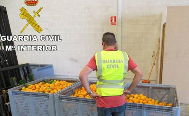 Detenidas cinco personas por robar 33.000 kilos de naranjas