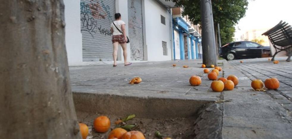 El Ayuntamiento de Valencia intensificará la limpieza en toda la ciudad tras las quejas vecinales