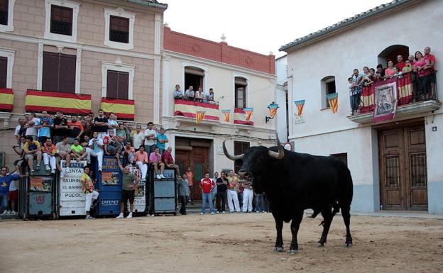 Antitaurinos denuncian el «sorteo ilegal» de un toro en Valencia