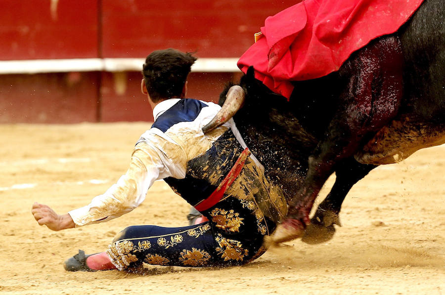 Fotos de la novillada de Los Maños en la plaza de toros de Valencia