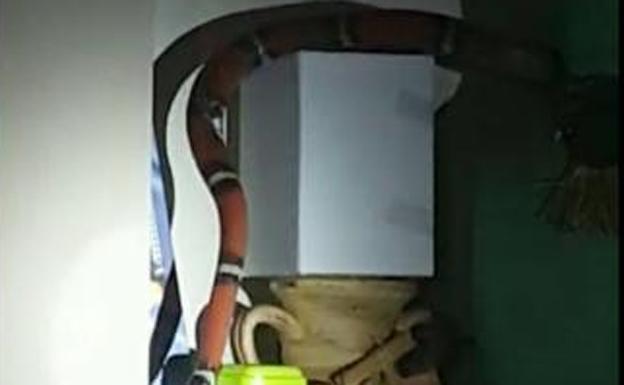 Capturan una serpiente doméstica de más de un metro en una vivienda de Elda