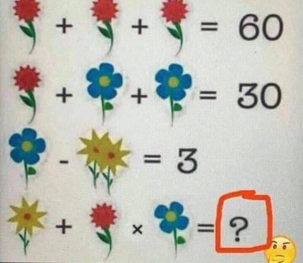 Descifra esta dificil ecuación compuesta por flores