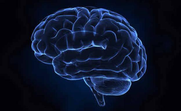 Estos son los signos de que tu cerebro funciona correctamente