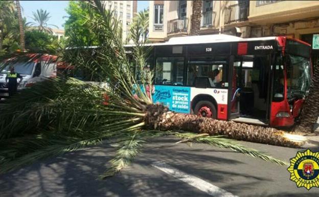 Diez heridos al chocar un autobús de línea contra una palmera en Alicante