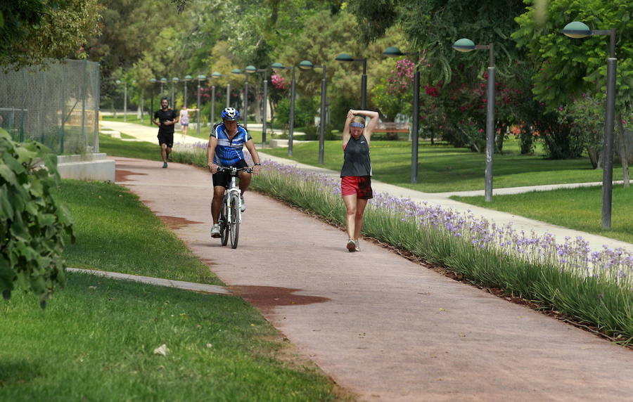 Atracaba a jóvenes en el cauce del río de Valencia desde su bicicleta