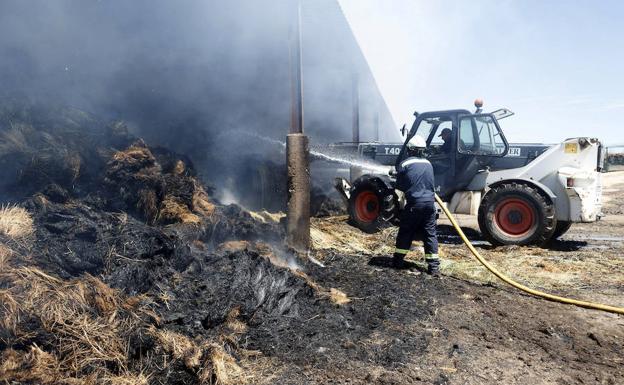 Arden 2.500 hectáreas en el incendio de Zamora, que fue intencionado