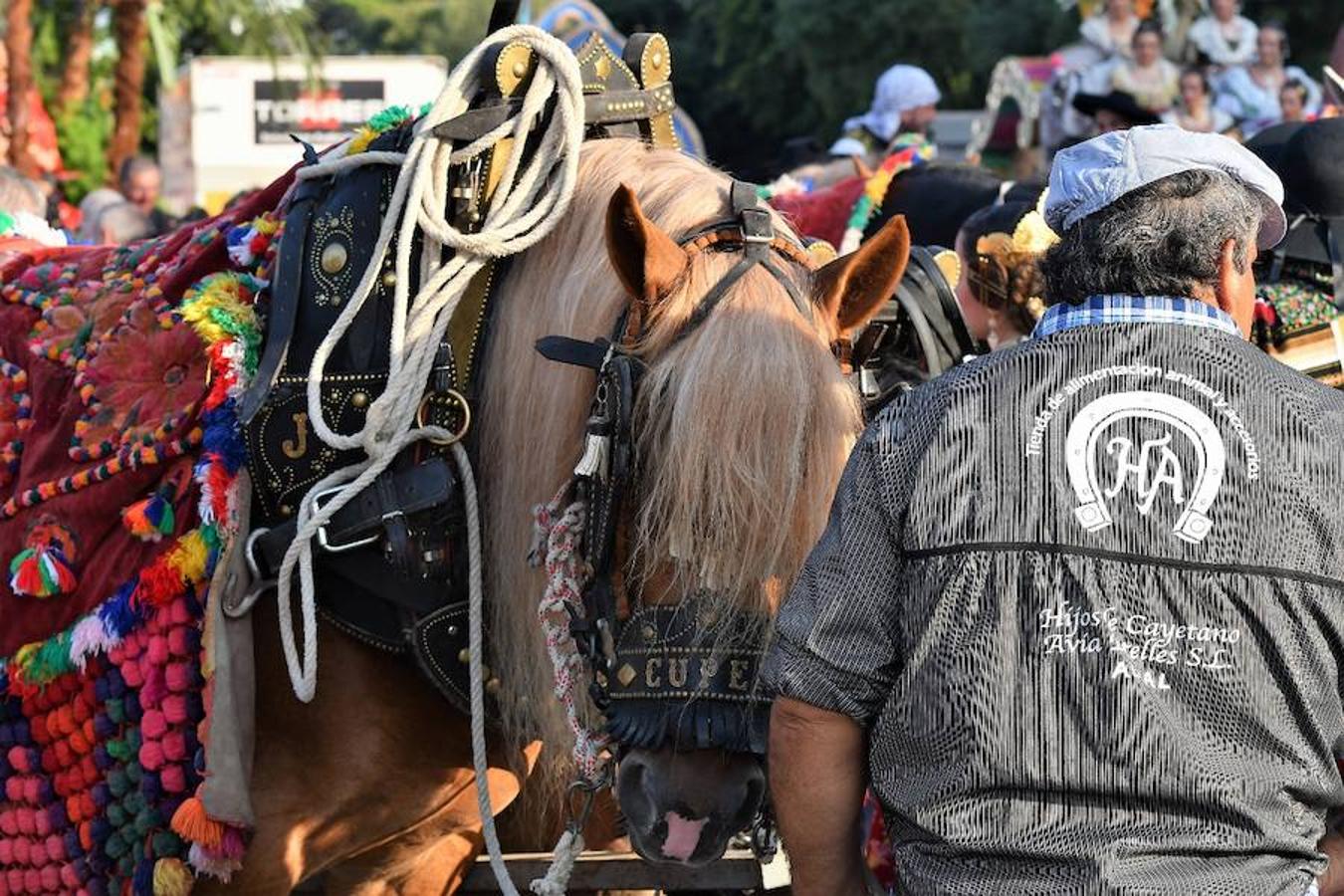 Fotos de la Batalla de Flores 2017 de Valencia