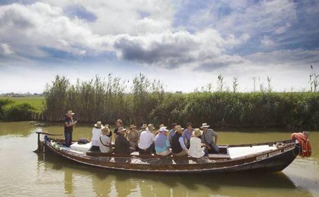 Los agricultores dicen que los niveles de agua en las acequias de la Albufera «amenazan» con inundar los cultivos