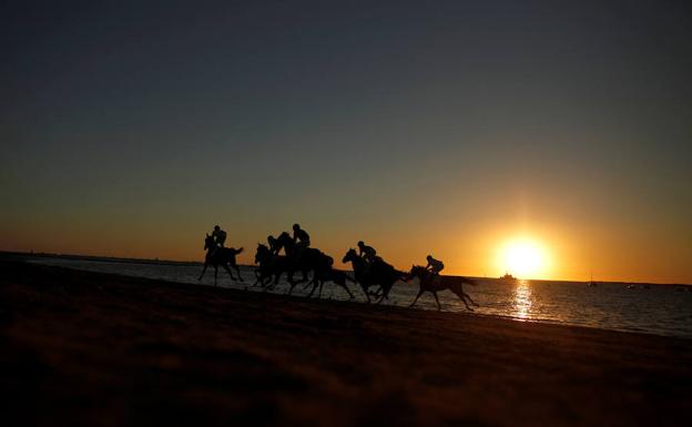 Los jinetes de Sanlúcar de Barrameda