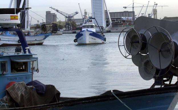 Decomisadas en Valencia 24 toneladas de sepia ilegal procedente de Tailandia