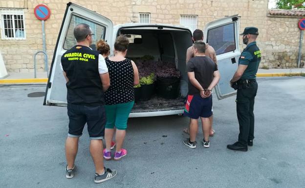 Detenidos por robar más de 4.500 kilos de uva en Monforte del Cid