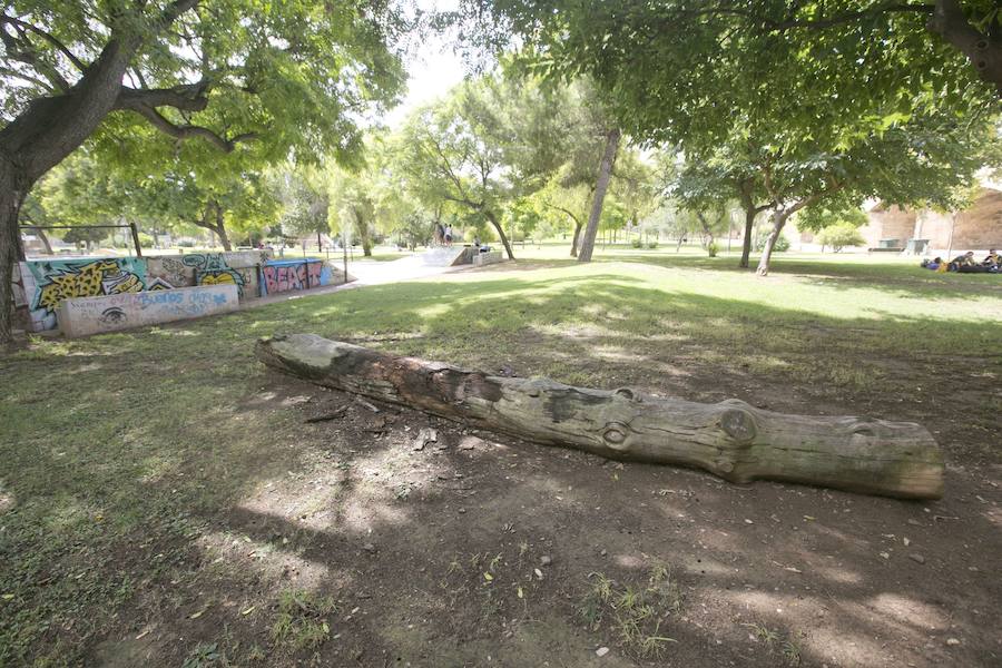 Fotos del Jardín del Turia deteriorado