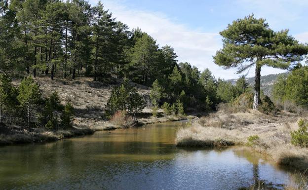 Buscan a un joven desaparecido tras lanzarse con un hinchable al río Cabriel