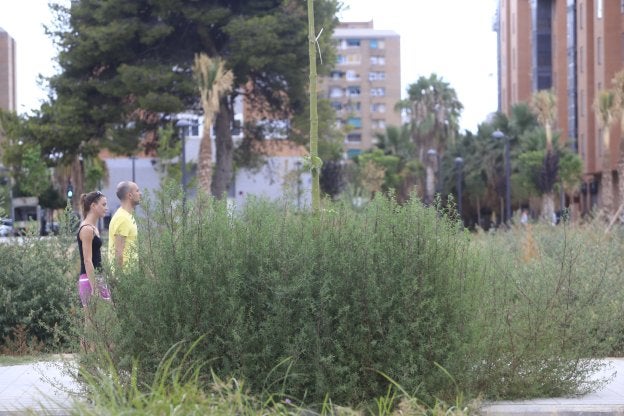 El soterramiento del tendido eléctrico bloquea el enorme parque de Malilla