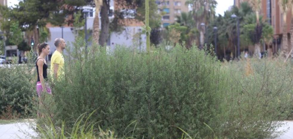 El soterramiento del tendido eléctrico bloquea el enorme parque de Malilla