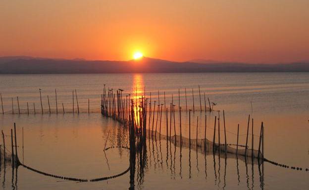 Las 10 mejores rutas para redescubrir l'Albufera