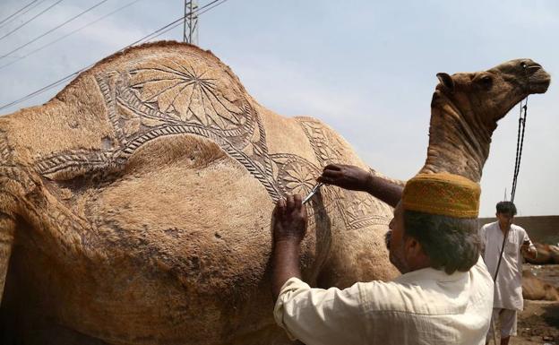 ¿Qué es el Eid al-Adha y por qué es tan sagrado para los musulmanes?