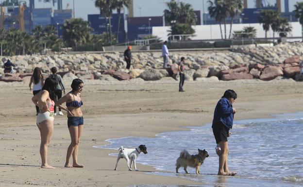 La playa canina de Pinedo cumple un año con un aumento de visitantes